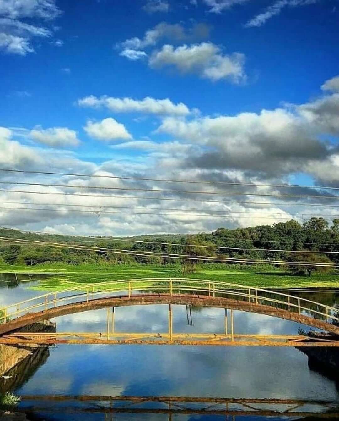 SaveClip.App_329736028_1412546889483818_8818189960648175777_n (1)